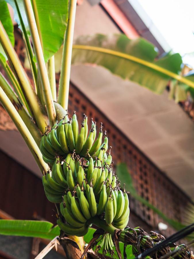 Cool Guesthouse Chiang Mai Exterior foto